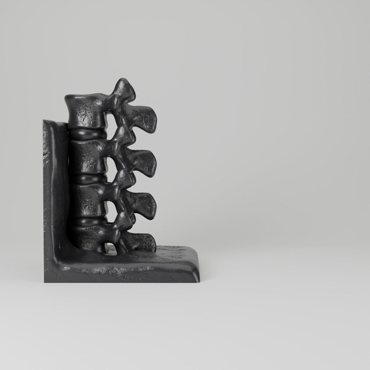 Spine Bookend Sculpture – Vertebrae Book Holder for Shelves - Northern Foundry