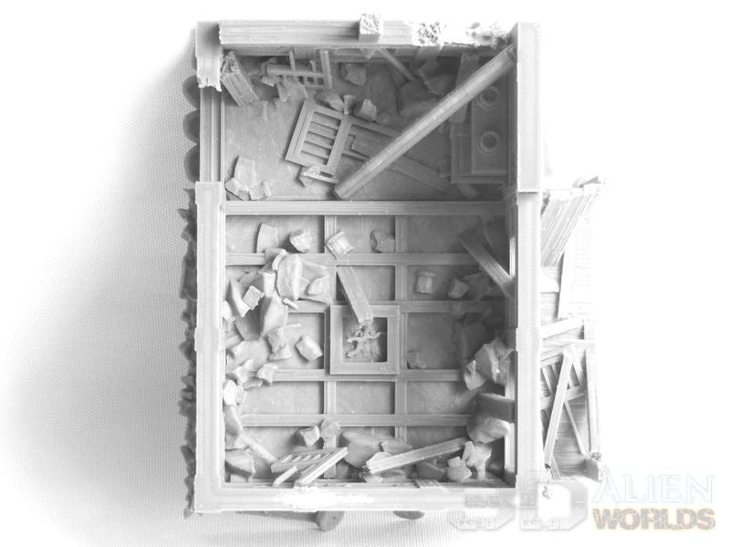 unpainted grey print