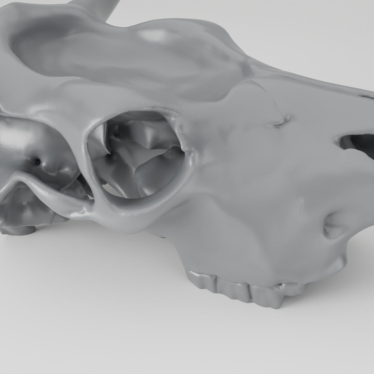 Cow Skull Trinket Tray – Western Catchall Dish - Northern Foundry