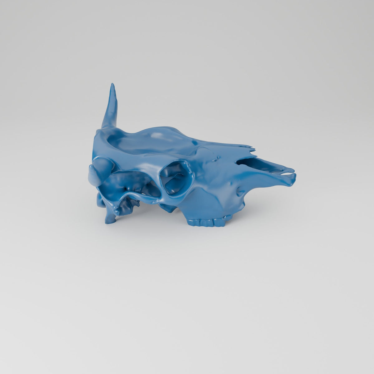Cow Skull Trinket Tray – Western Catchall Dish - Northern Foundry