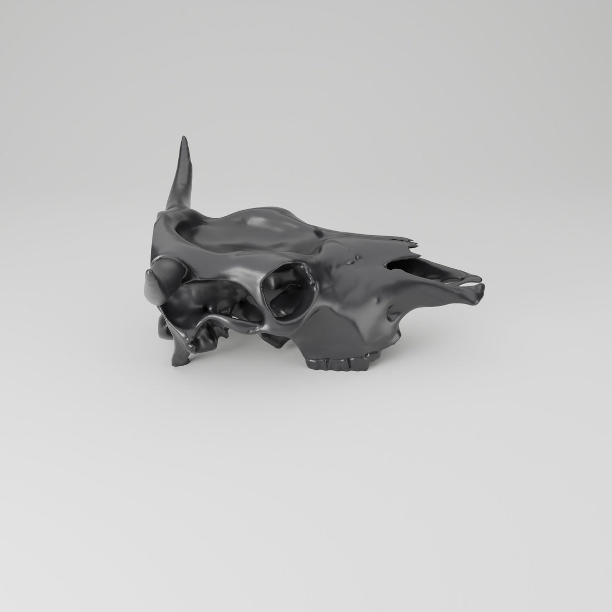 Cow Skull Trinket Tray – Western Catchall Dish - Northern Foundry