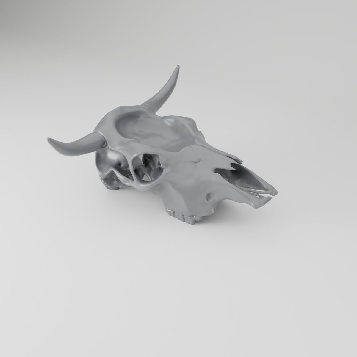 Cow Skull Trinket Tray – Western Catchall Dish - Northern Foundry
