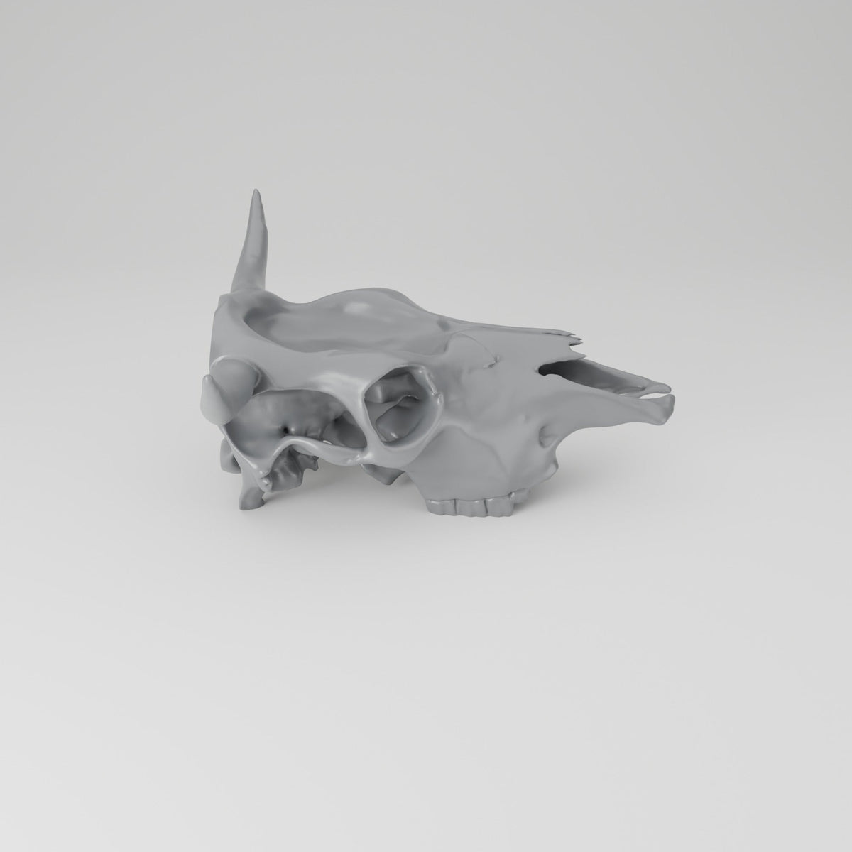 Cow Skull Trinket Tray – Western Catchall Dish - Northern Foundry