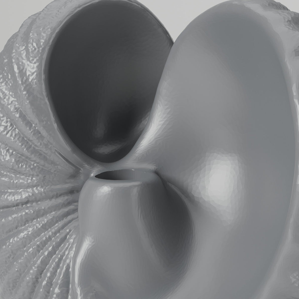 Rippled Seashell LED Candle Holder – Nautilus Shell Bud Vase - Northern Foundry