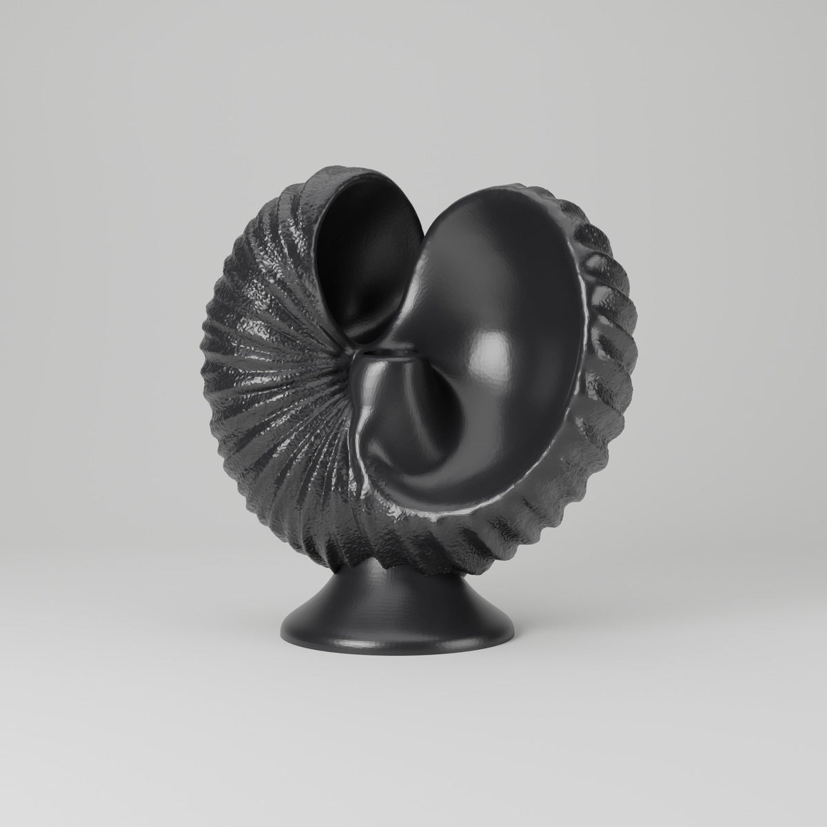 Rippled Seashell LED Candle Holder – Nautilus Shell Bud Vase - Northern Foundry
