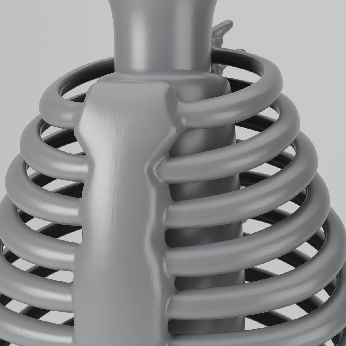Skeleton Rib Cage Vase – Gothic Halloween Decor - Northern Foundry