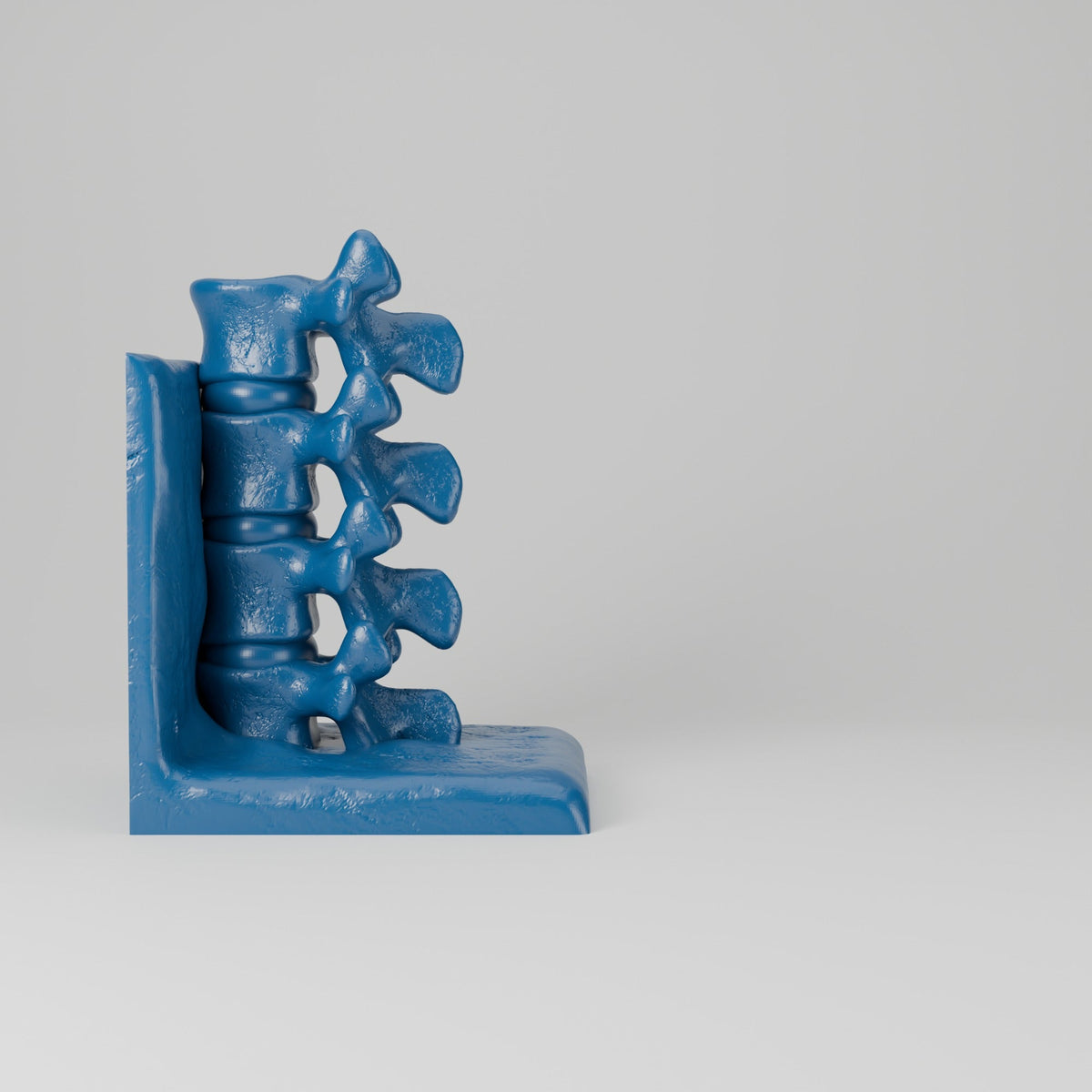 Spine Bookend Sculpture – Vertebrae Book Holder for Shelves - Northern Foundry