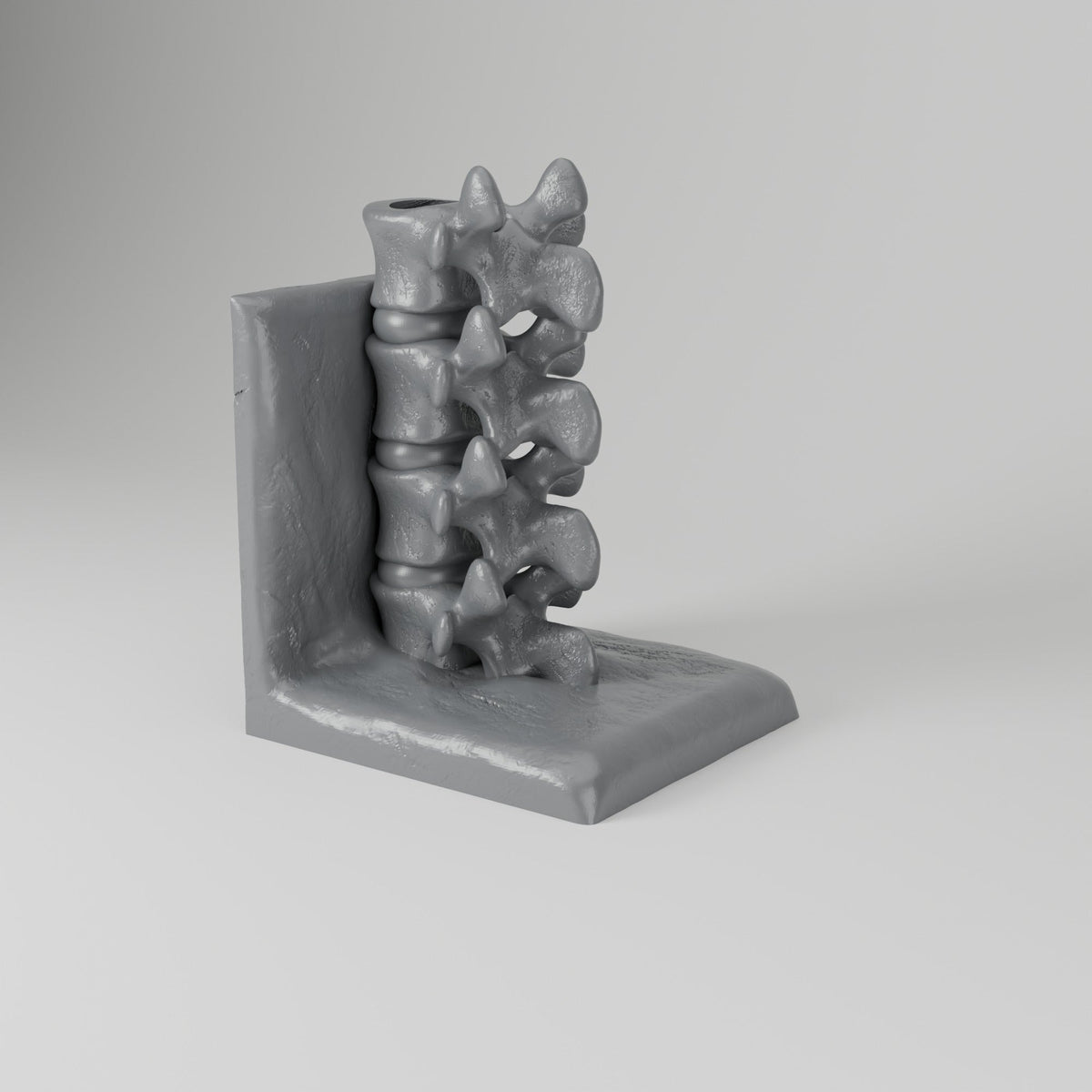 Spine Bookend Sculpture – Vertebrae Book Holder for Shelves - Northern Foundry