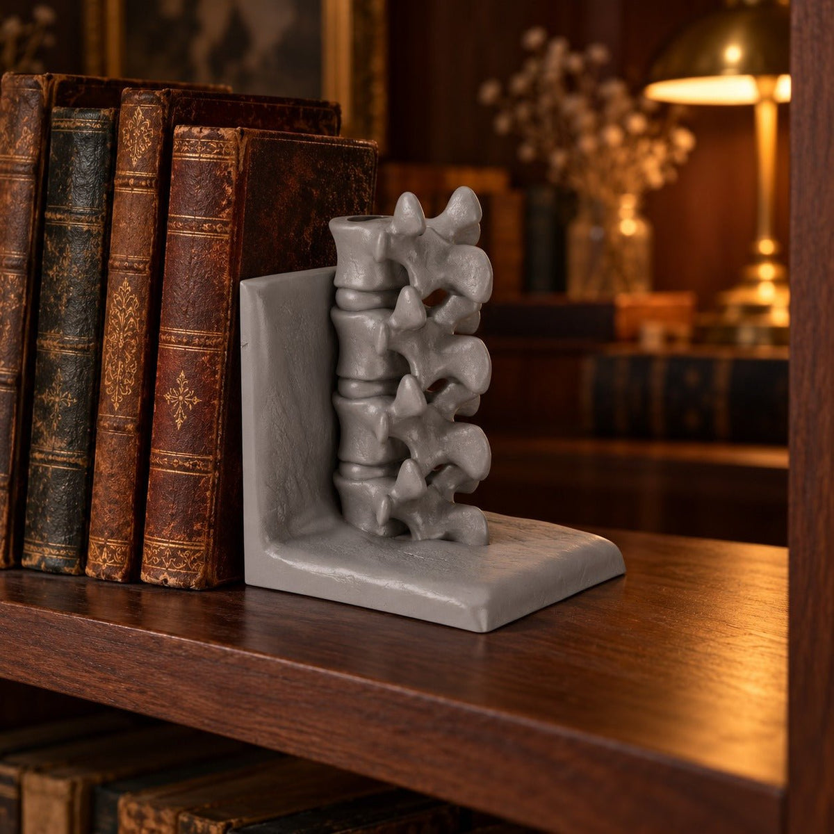 Spine Bookend Sculpture – Vertebrae Book Holder for Shelves - Northern Foundry