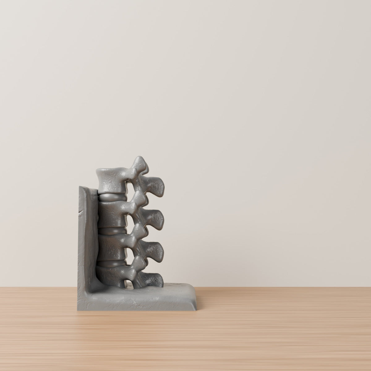 Spine Bookend Sculpture – Vertebrae Book Holder for Shelves - Northern Foundry