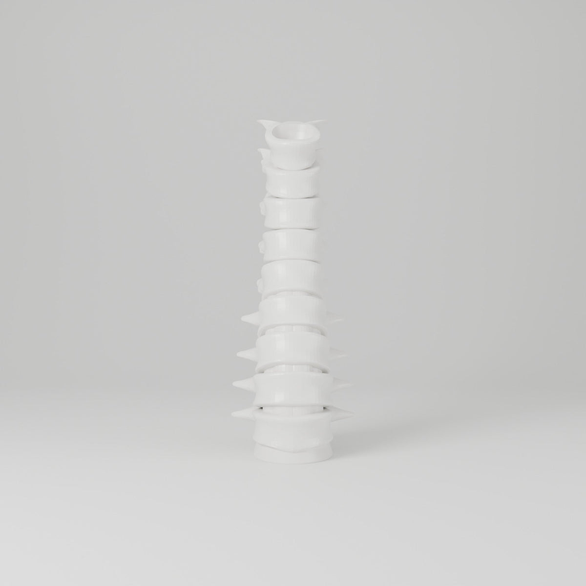 Spine Vase – Sculptural Vertebrae Bud Vase - Northern Foundry