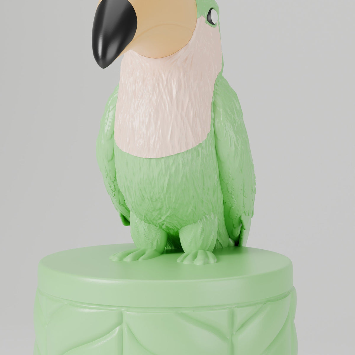 Tropical Toucan Jewelry Box – Bird-Topped Trinket Box - Northern Foundry
