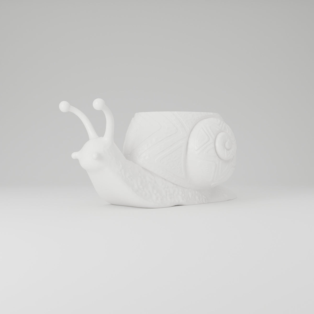 Woodland Snail Planter – Snail Shell Succulent Pot - Northern Foundry